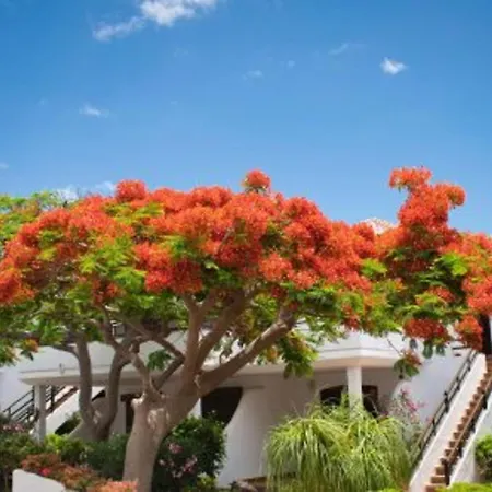 Apartment Apt In Pebble Beach With Golf Course View K210